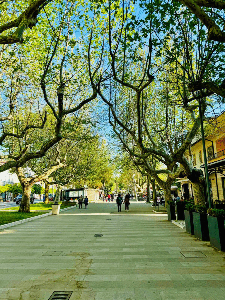 viale praia a mare
